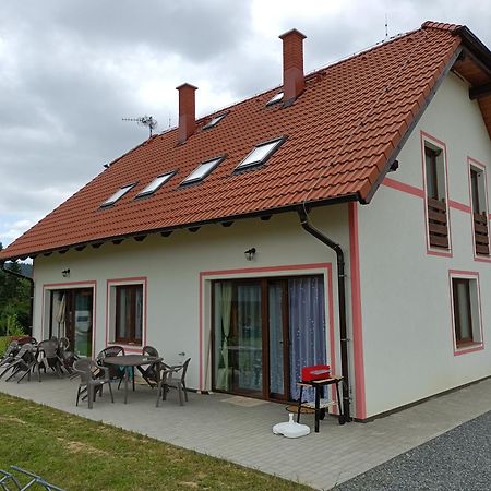 Apartmany U Olsinske Kaplicky Horní Planá Exteriör bild