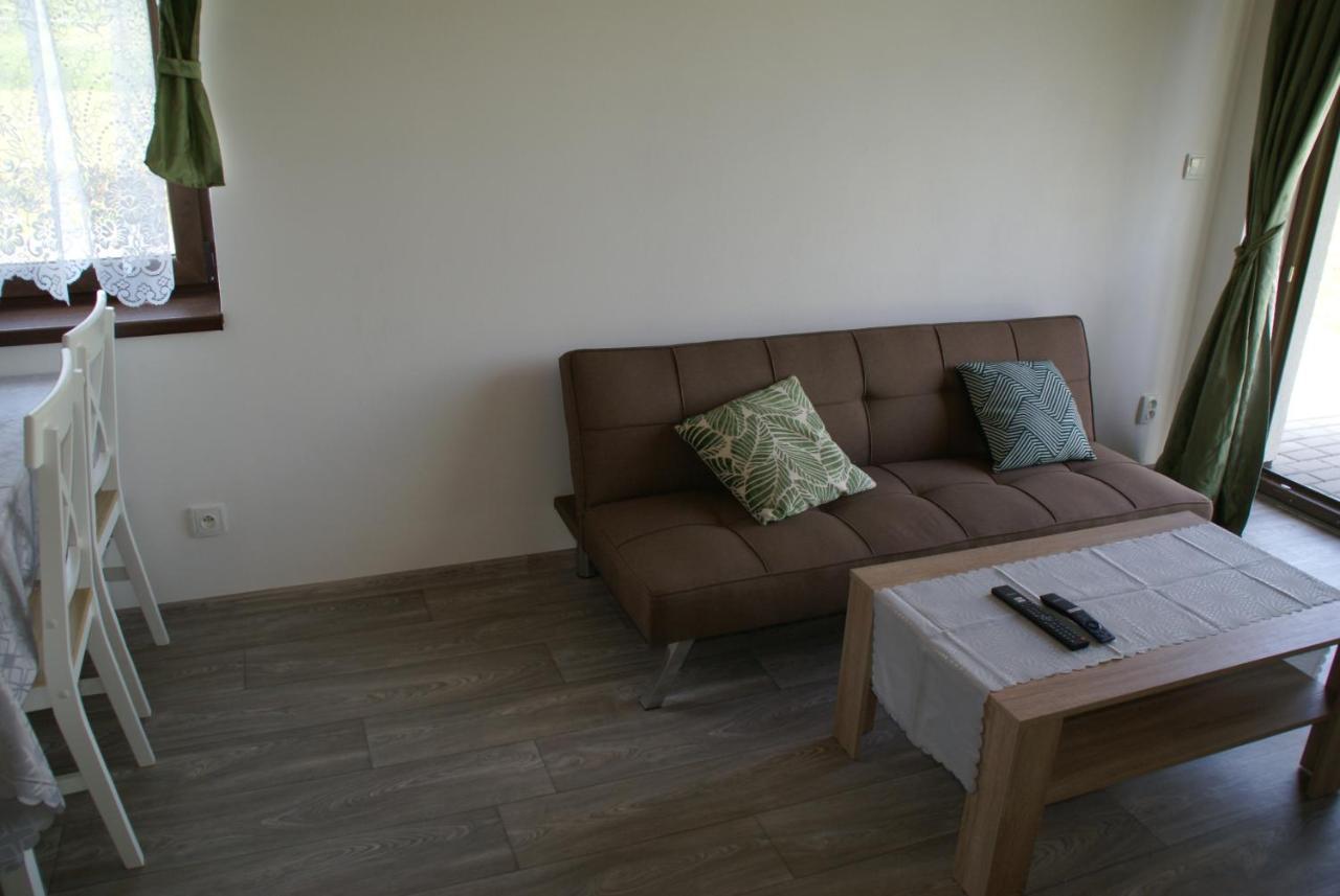 Apartmany U Olsinske Kaplicky Horní Planá Exteriör bild