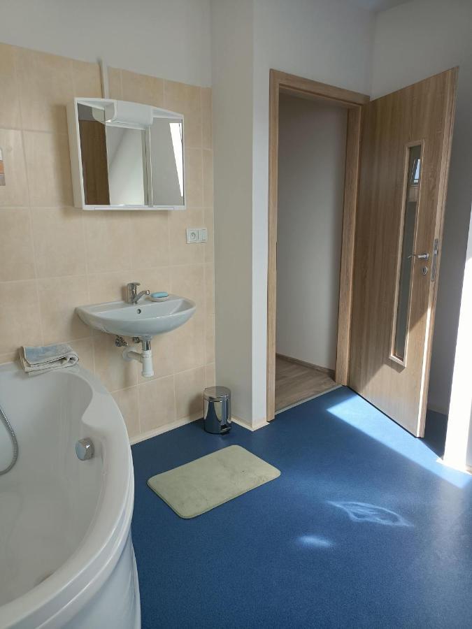 Apartmany U Olsinske Kaplicky Horní Planá Exteriör bild