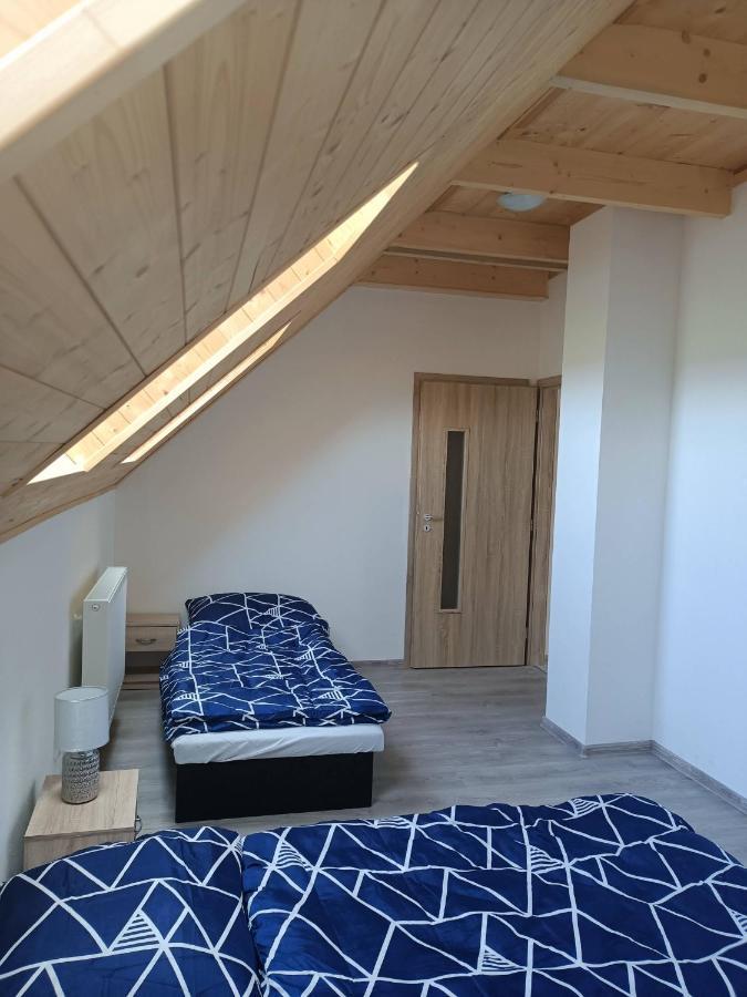 Apartmany U Olsinske Kaplicky Horní Planá Exteriör bild